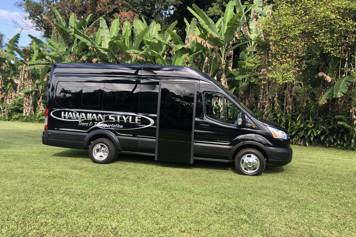 Platinum Minibus1
